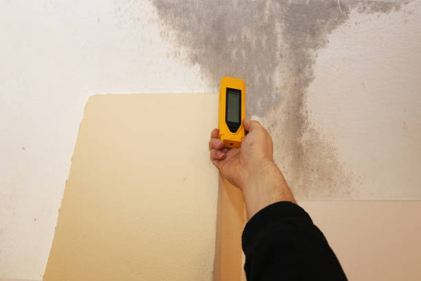 Mold Removal for HVAC Installations in Fort Walton Beach, FL