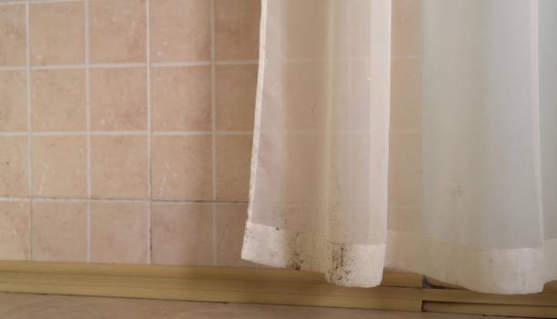 Best Forensic Mold Investigation  in Fort Walton Beach, FL