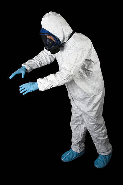 Best Basement Mold Removal  in Fort Walton Beach, FL